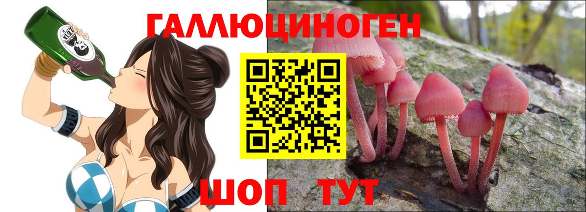 Псилоцибиновые грибы ЛСД  Вход с VPN  Гусь-Хрустальный 