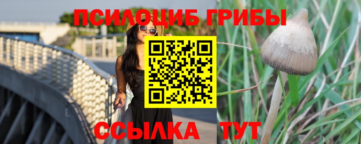 Галлюциногенные грибы Magic Shrooms Гусь-Хрустальный